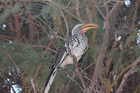 IMG_7500