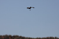 IMG_7857