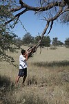 IMG_7964