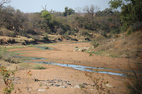 GHR_0088