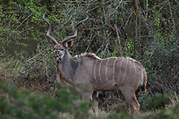 GHR_9957