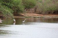 GHR_9979