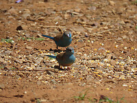 IMG_3074
