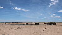 GHR_1084