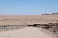 GHR_0886