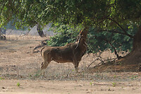 GHR_0359