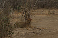 GHR_0361