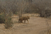 GHR_0373