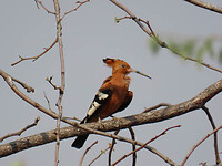 IMG_5363