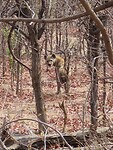 IMG_5483