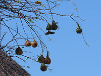 IMG_5642