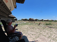 IMG_5679