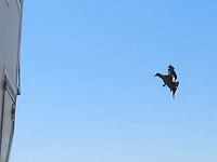 IMG_5731
