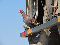 IMG_5739