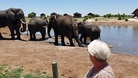 Elephant Sands