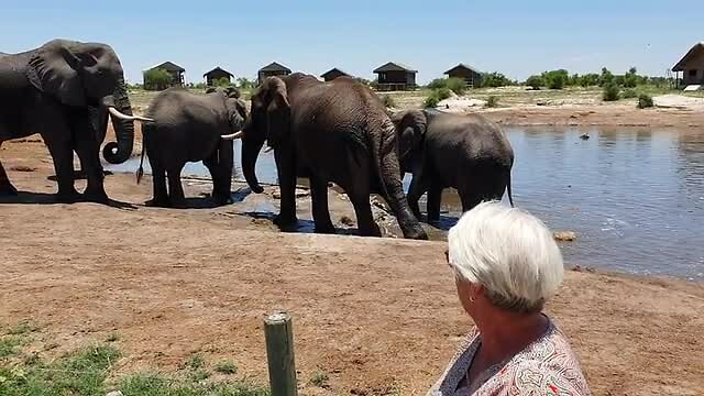 Elephant Sands