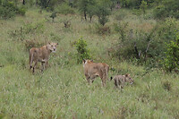 037A9530
