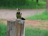 IMG_5805