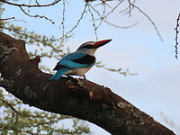 IMG_5819
