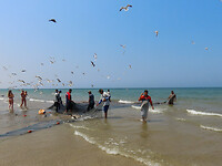 IMG_6630