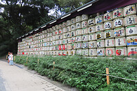 Japan-101