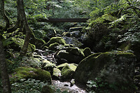 Japan-109