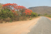 DSCN0397