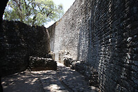 IMG_0049