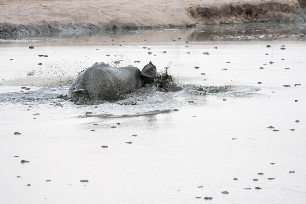 IMG_7498
