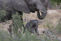 IMG_7787