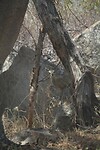 IMG_9991