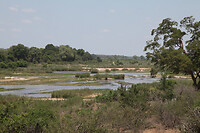 IMG_0177