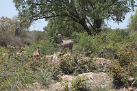 IMG_0178