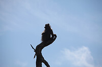IMG_0220