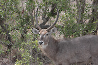 IMG_7897