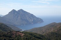 IMG_7563