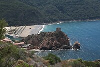 IMG_7565