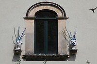 IMG_8180