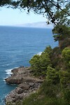 IMG_8191