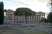 IMG_8206