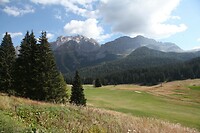 IMG_8422