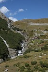 IMG_8451