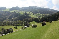 IMG_8475