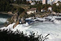IMG_8494