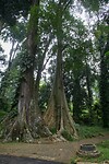 IMG_8598