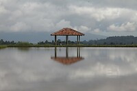 IMG_8687