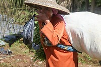 IMG_8733