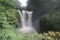 IMG_8824