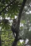 IMG_8838