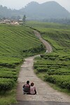 IMG_8887